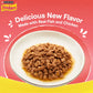 Purina Friskies Kitten Chicken Flavor Gravy Wet Cat Food 70g
