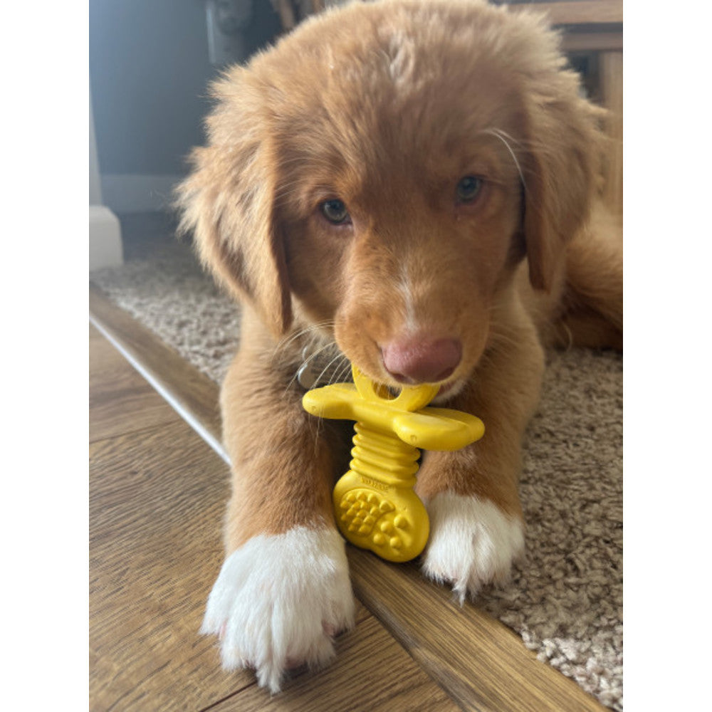 Nylabone Puppy Chew Natural Rubber Vanilla Flavor Textured Teether Chew Toy Small 11kg