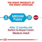 Royal Canin Medium Puppy Wet Food 140g