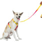 Zoomiez Solar H - Harness For Dog