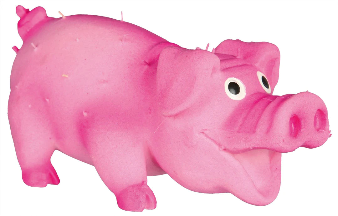 Trixie Bristle Pig Dog Toy 21cm Assorted