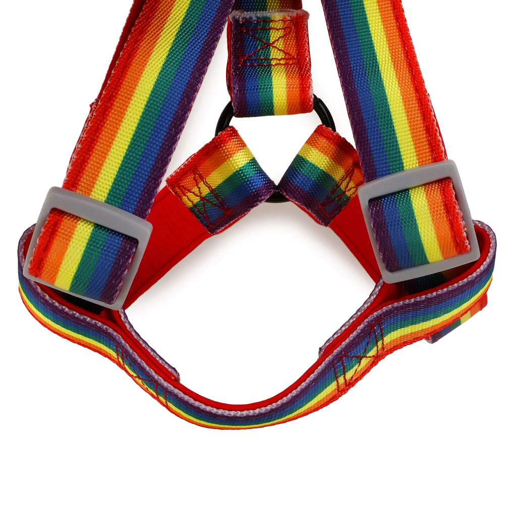 Basil Rainbow Harness For Dog XL