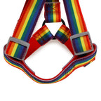 Basil Rainbow Harness For Dog XL