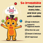 Smudges Little Licks Adult Chicken Creamy Bisque Treats for Adult Cat 4 x 15g