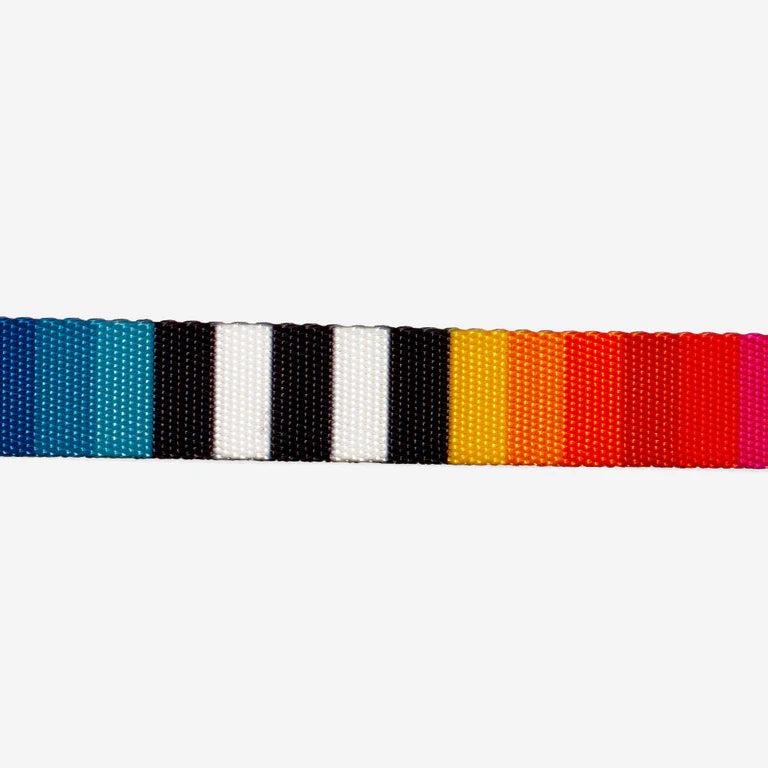 Zee dog Prisma Adjustable Dog Collar