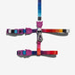 Zee dog Prisma Cat Leash & Harness Set