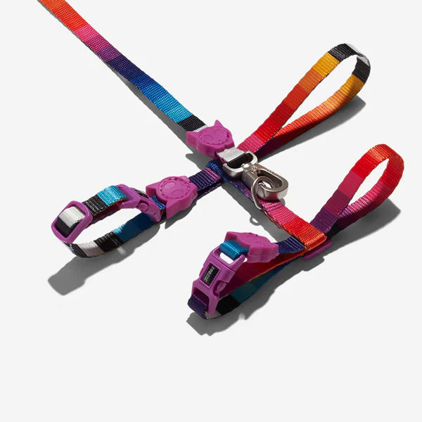 Zee dog Prisma Cat Leash & Harness Set