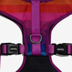 Zee dog Prisma Air Mesh Plus Harness