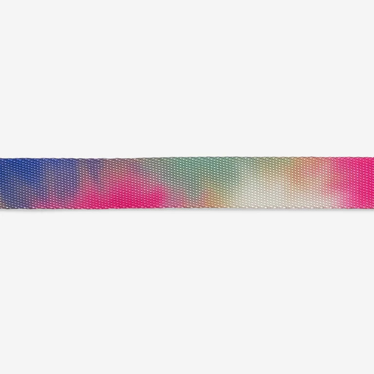Zee.Dog Bliss Cat Collar