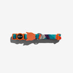Zee dog Parker Adjustable Dog Collar