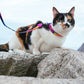 Zee dog Prisma Cat Leash & Harness Set