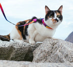 Zee dog Prisma Cat Leash & Harness Set