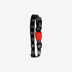 Zee dog Skull Adjustable Dog Collar