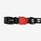 Zee dog Skull Adjustable Dog Collar