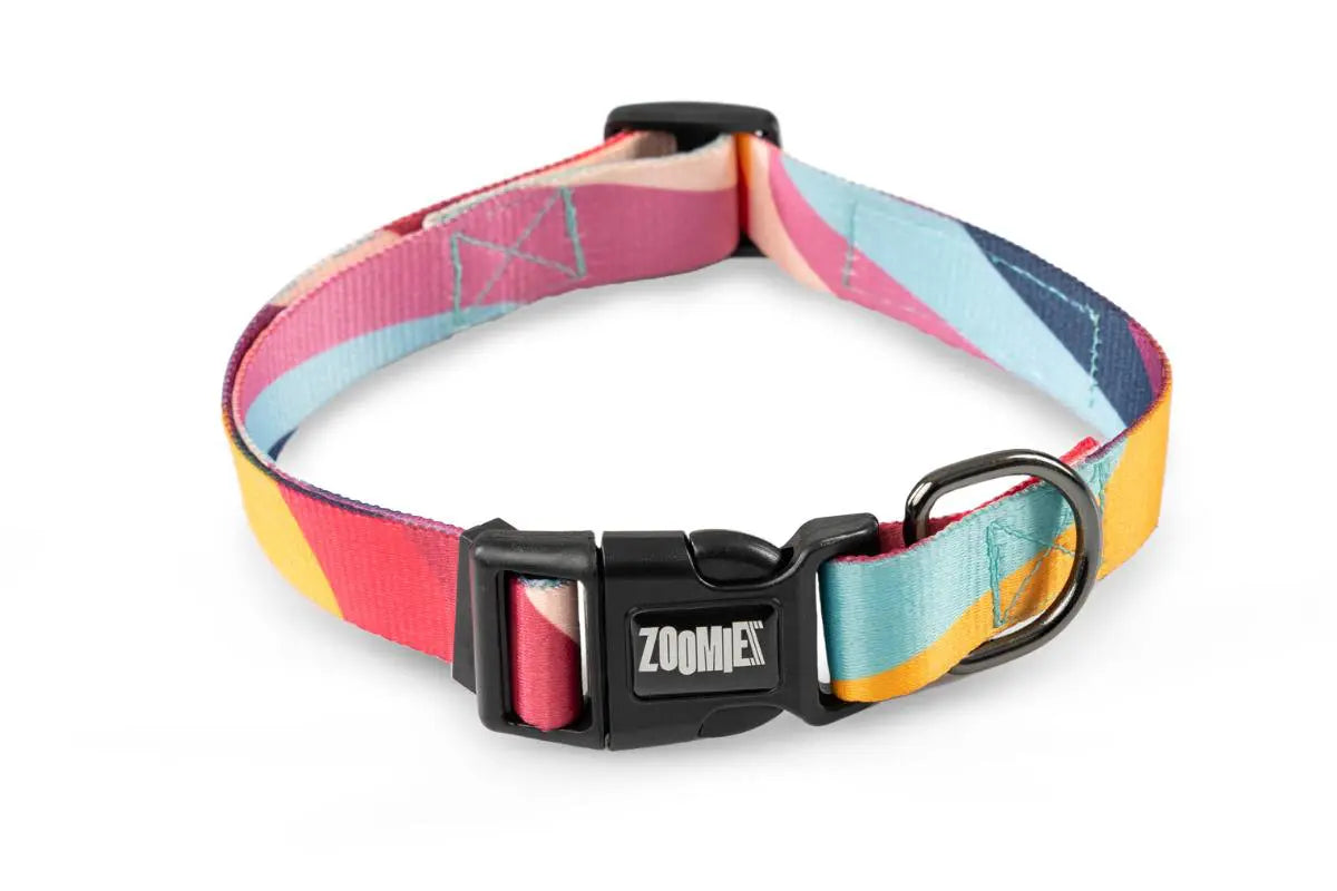 Zoomiez Swirl Collar For Dog