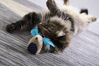 16-25-08-51GPhCgzZZL._AC_SY400_360x