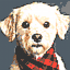 Tails Nation Pixel Art Gallery For Your Furry Friend