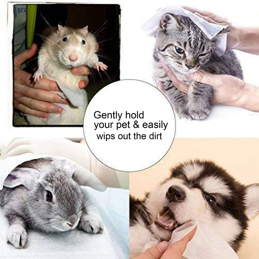 Basil Daily All Purpose Wet Wipes for Dogs & Cats 80pc