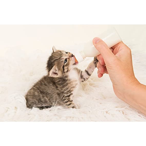 Trixie Suckling Bottle Set For Small Animals 57ml