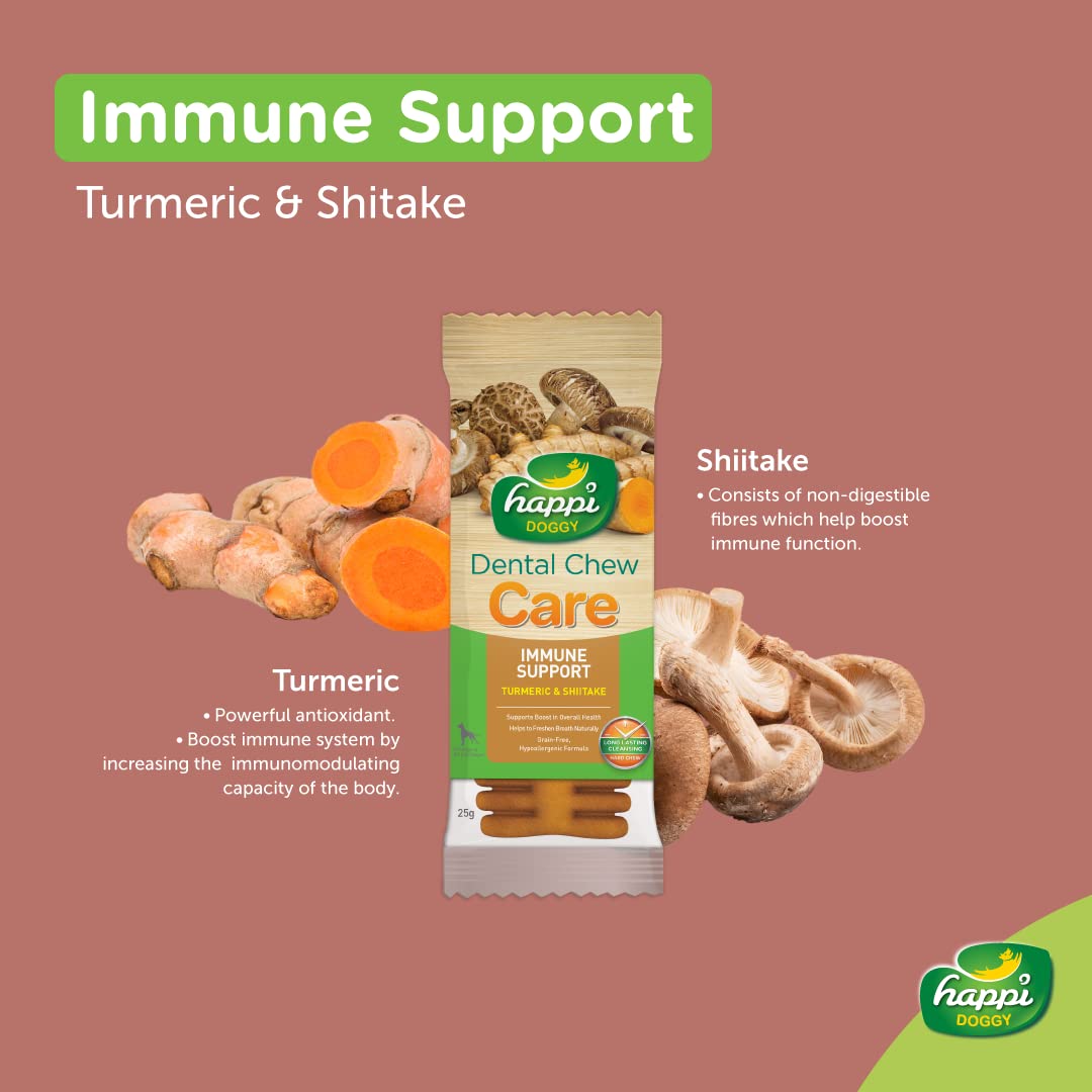 Happi Doggy Dental Chew Care (Immune Support) Turmeric & Shiitake Vegetarian & Sustainable Treat For Dogs Single Pack