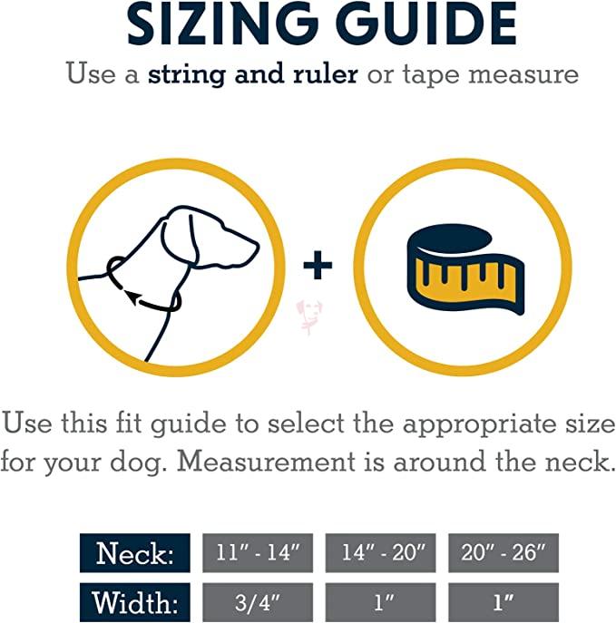 71-8UUh7wGL._AC_SX679_