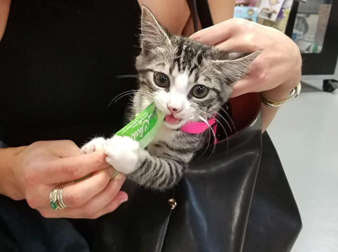 Inaba Churu Creamy Tuna With Salmon Recipe Grain Free Treat For Cats 14g x 4 Tubes