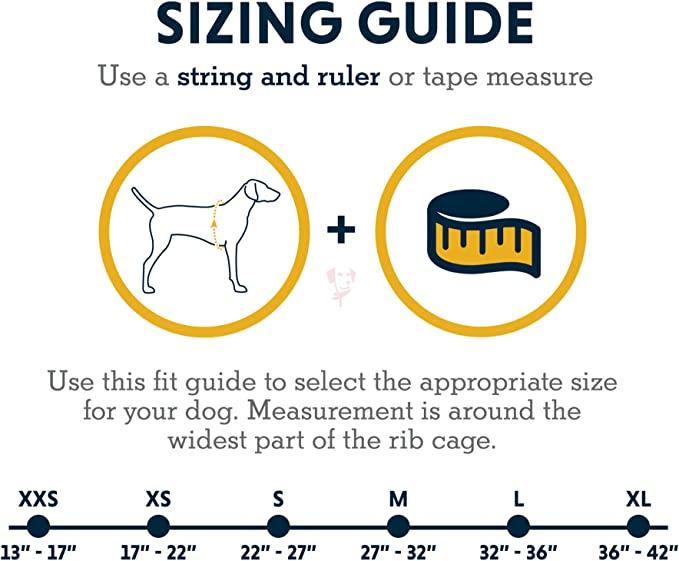 71G1JDowwOL._AC_SX679_