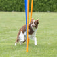 Trixie Agility Slalom Weave Poles Set of 12 For Dogs