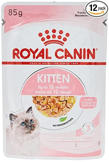 71ssD18qIrL._SY550_PIbundle-12,TopRight,0,0_SX371SY550SH20_