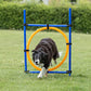 Trixie Agility Ring Orange/Blue Set For Dogs