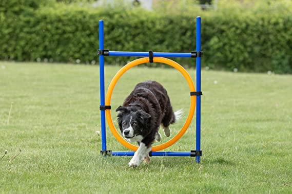 Trixie Agility Ring Orange/Blue Set For Dogs