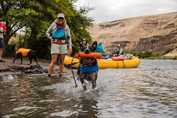 81JXhfctwxL._AC_SX679_