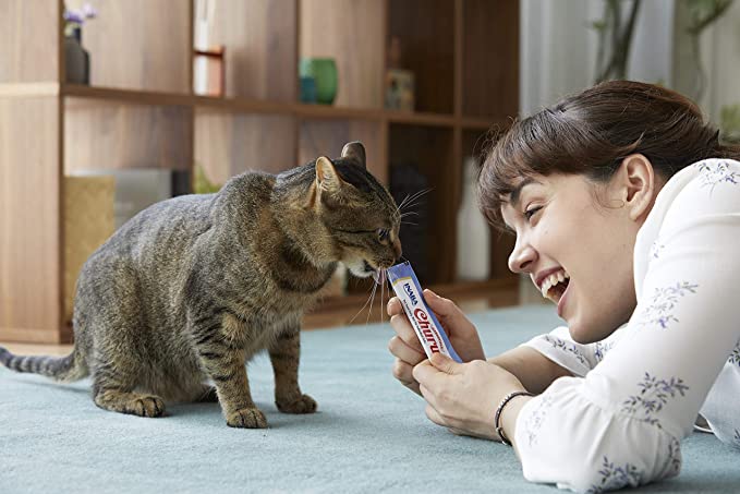 Inaba Churu Creamy Chicken With Salmon Recipe Grain Free Treat For Cats 14g x 4 Tubes