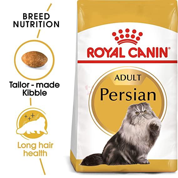81REQQLR8fL._SX569_