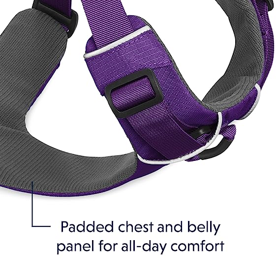 Ruffwear Front Range Dog Padded Harness - Purple Saga