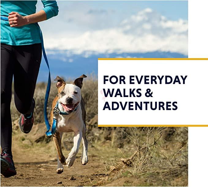 81poEQIBiFL._AC_SX679_