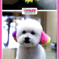 852b57c0f24e0d2cd4339f1ca1ced100--grooming-dogs-grooming-salon