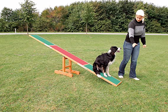 Trixie Agility See-Saw Wooden For Dogs  10 x 1.8 ft