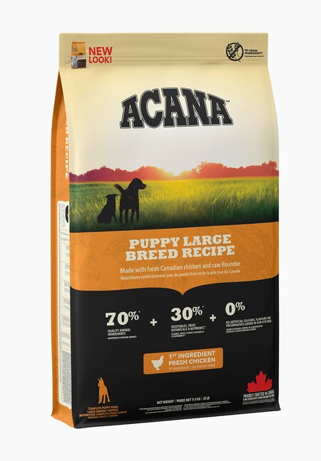 Acana Large Breed Puppy Dry Food
