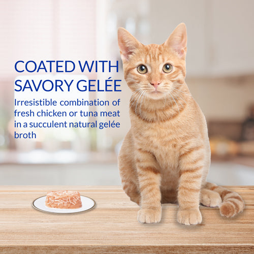 Inaba Twins Grain Free Chicken With Cheese Recipe Treat For Cats 35g
