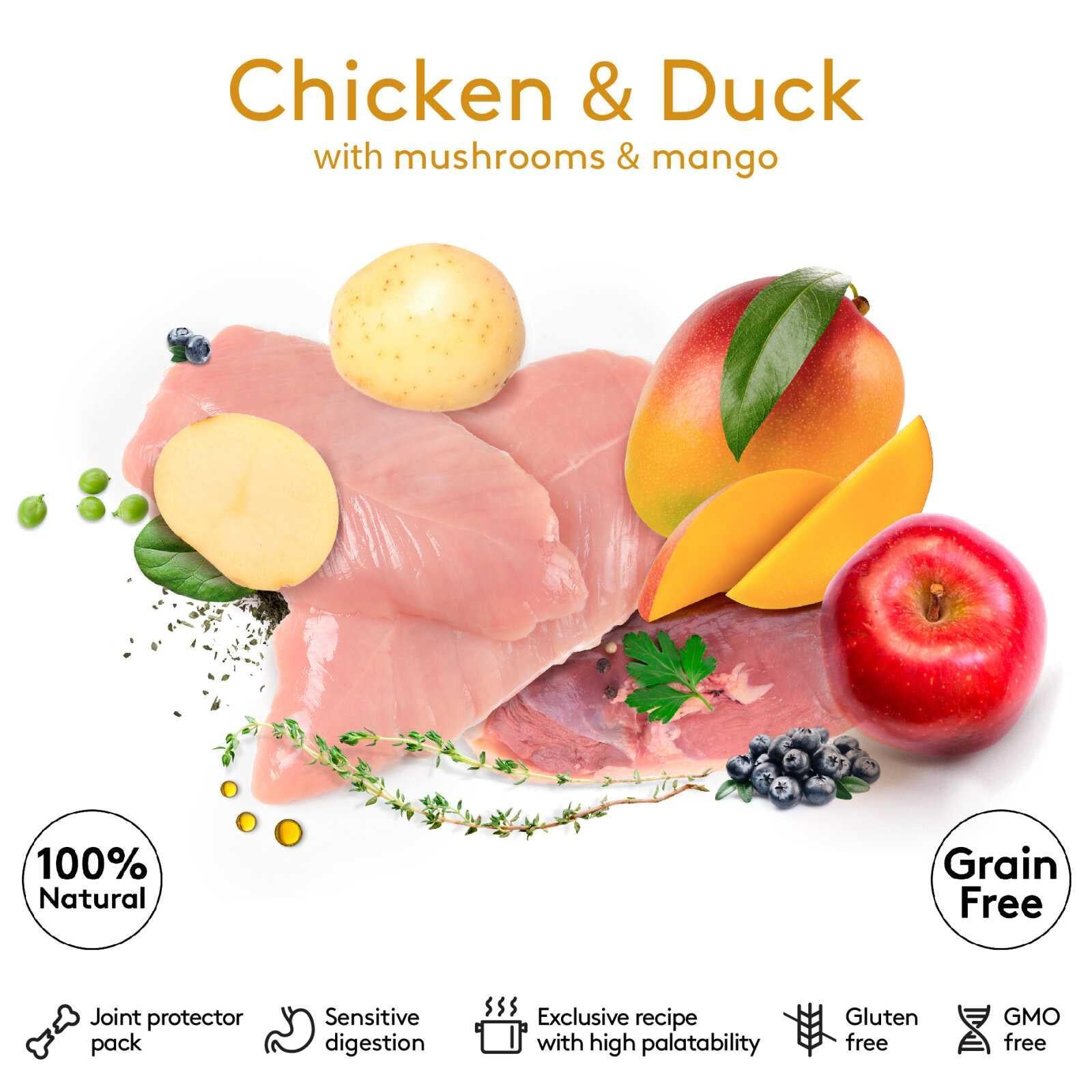 Chicken-Duck-02
