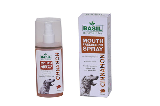 Cinnamon Mouth Spray (1)