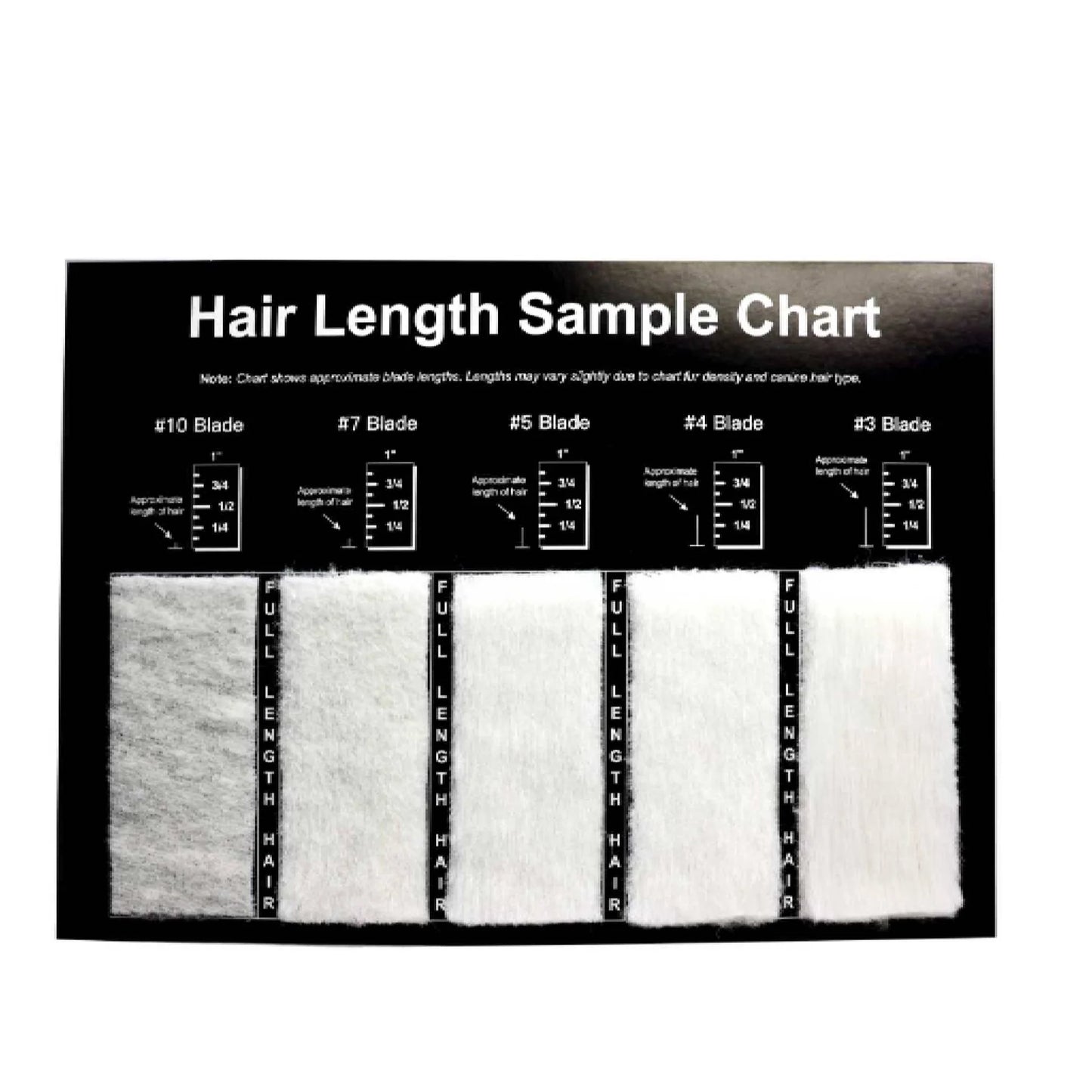 Aeolus Hair Length Sample Chart