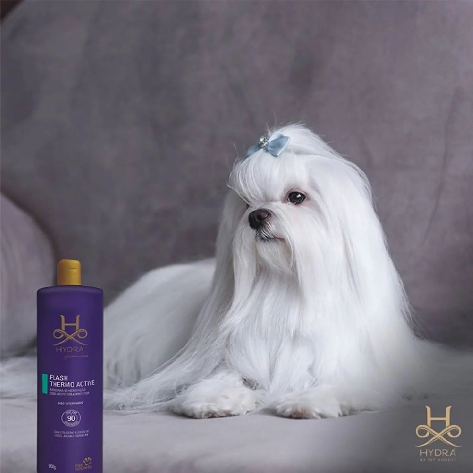 Deep conditioner for dogs top