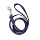 Tails Nation Club Blue & Red Doot Flat Leash For Your Furry Friend