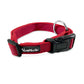 Tails Nation Sports Shockey Red Collar For Your Furry Friend