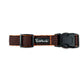 Tails Nation Sports Orange & Black Collar For Your Furry Friend