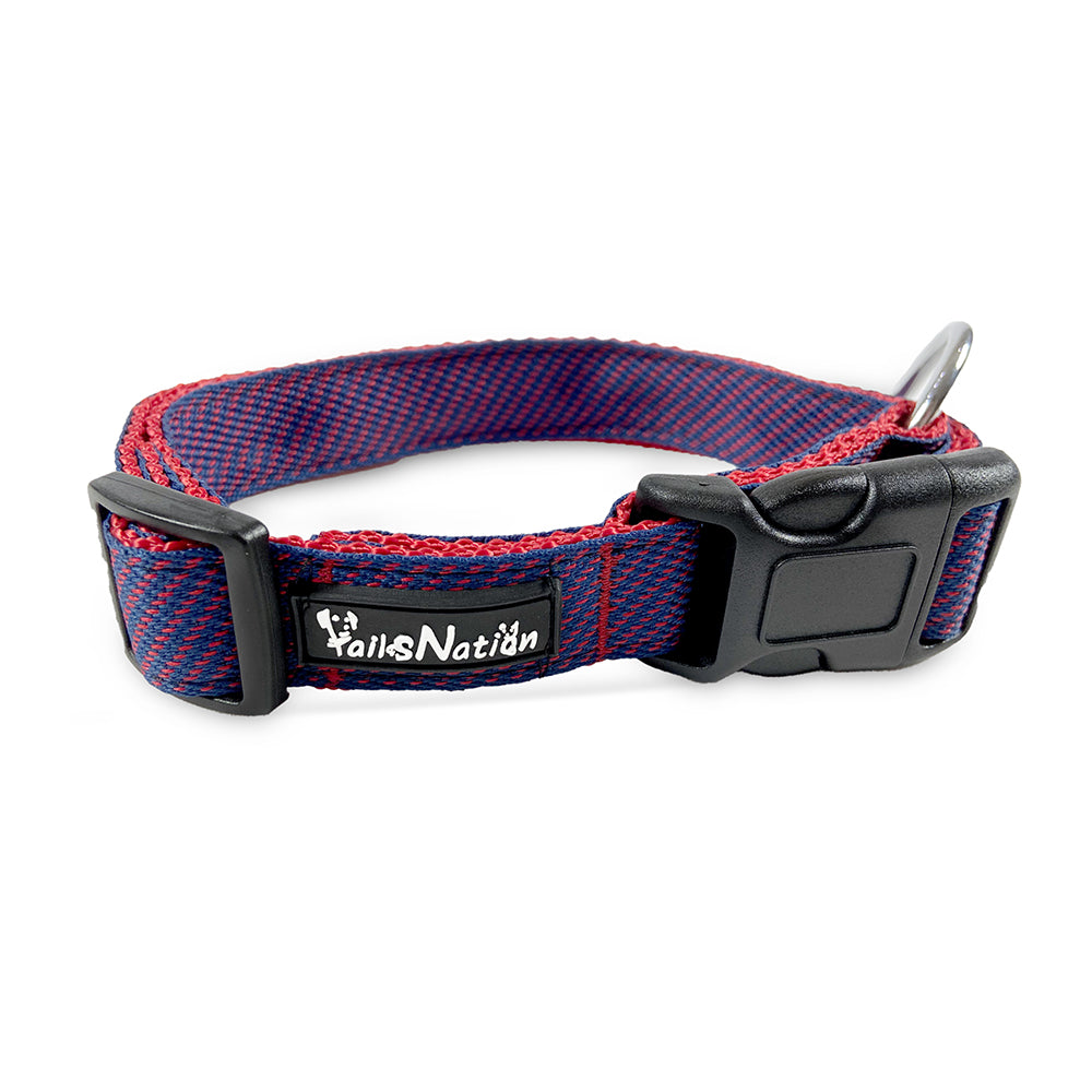 Tails Nation Sports Blue Berry Collar For Your Friend