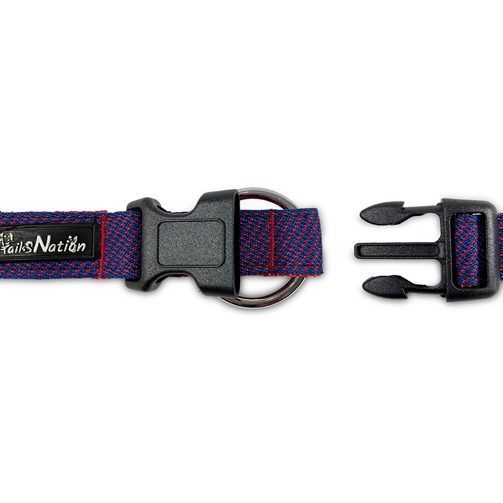 Tails Nation Sports Blue Berry Collar For Your Friend