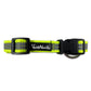 Tails Nation Reflective Lemon Green Collar For Your Furry Friend